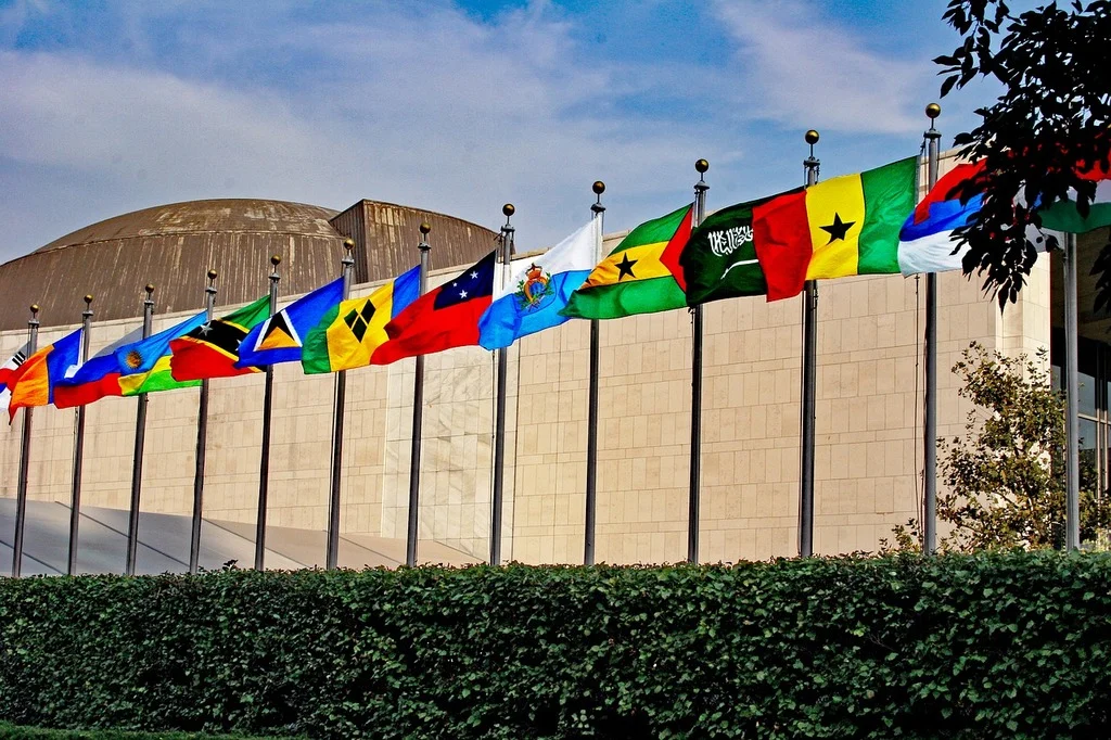UN Flags